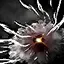 Void Shockwave Support skill icon