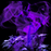 Purple Smoke