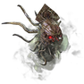Ancient Skull