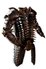 Belly of the Beast