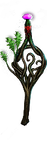 Lifesprig