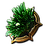 Natural Affinity