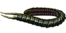 Ryslatha's Coil